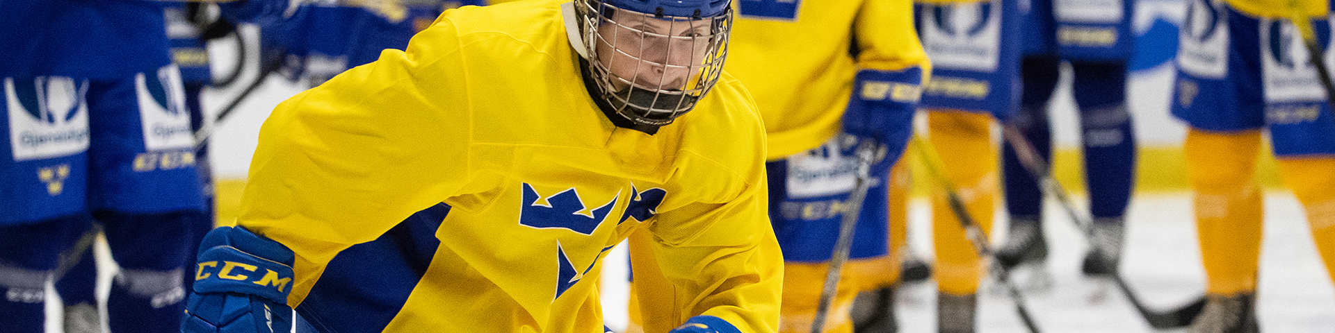 Gjensidige Spelarförsäkring